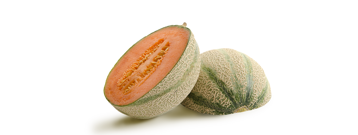 Tipps Melonenrezept